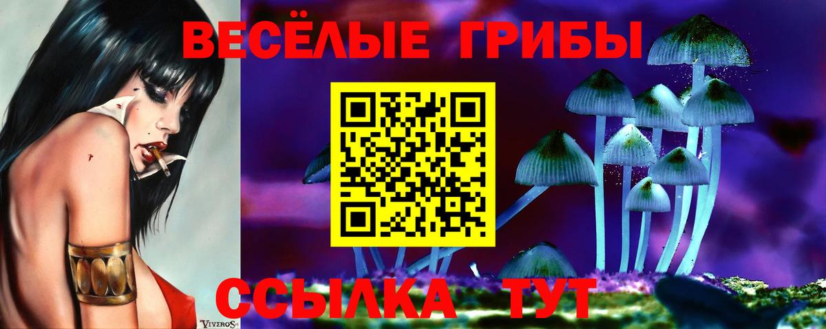 Галлюциногенные грибы MAGIC MUSHROOMS  Галлюциногенные грибы MAGIC MUSHROOMS  Вход с VPN  Люберцы 